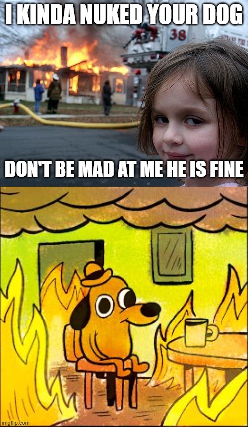 evil girl | I KINDA NUKED YOUR DOG; DON'T BE MAD AT ME HE IS FINE | image tagged in memes,disaster girl,this is fine | made w/ Imgflip meme maker