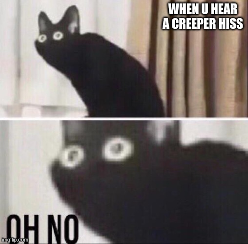 BoOm | WHEN U HEAR A CREEPER HISS | image tagged in oh no cat | made w/ Imgflip meme maker