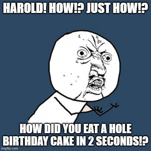 HAROLD! | HAROLD! HOW!? JUST HOW!? HOW DID YOU EAT A HOLE BIRTHDAY CAKE IN 2 SECONDS!? | image tagged in memes,y u no | made w/ Imgflip meme maker