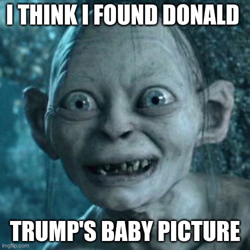Gollum | I THINK I FOUND DONALD; TRUMP'S BABY PICTURE | image tagged in memes,gollum | made w/ Imgflip meme maker