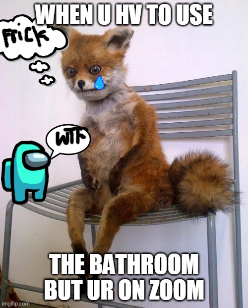 Shout out to my bff for helping me on dis one! Her youtube is Skyler Thefox also srry it took so long to make memes. | WHEN U HV TO USE; THE BATHROOM BUT UR ON ZOOM | image tagged in stoned fox | made w/ Imgflip meme maker