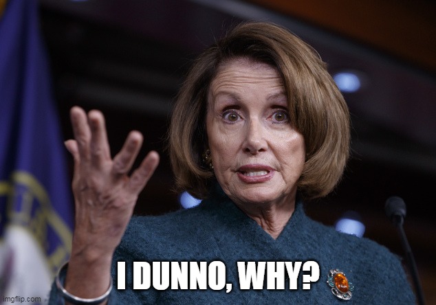 Good old Nancy Pelosi | I DUNNO, WHY? | image tagged in good old nancy pelosi | made w/ Imgflip meme maker