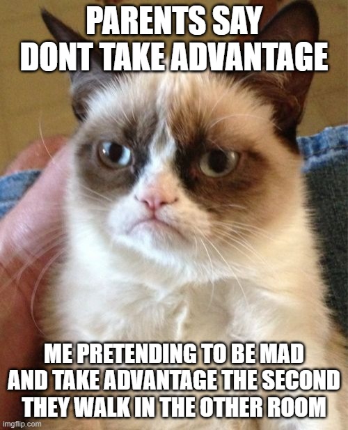 Mr. Advantage No? | PARENTS SAY DONT TAKE ADVANTAGE; ME PRETENDING TO BE MAD AND TAKE ADVANTAGE THE SECOND THEY WALK IN THE OTHER ROOM | image tagged in memes,grumpy cat | made w/ Imgflip meme maker