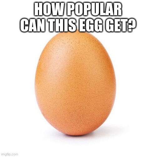 HOW POPULAR CAN THIS EGG GET? | image tagged in egg | made w/ Imgflip meme maker