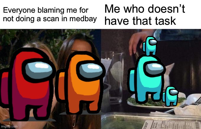 Among us yelling at among us | Everyone blaming me for not doing a scan in medbay; Me who doesn’t have that task | image tagged in memes,woman yelling at cat | made w/ Imgflip meme maker