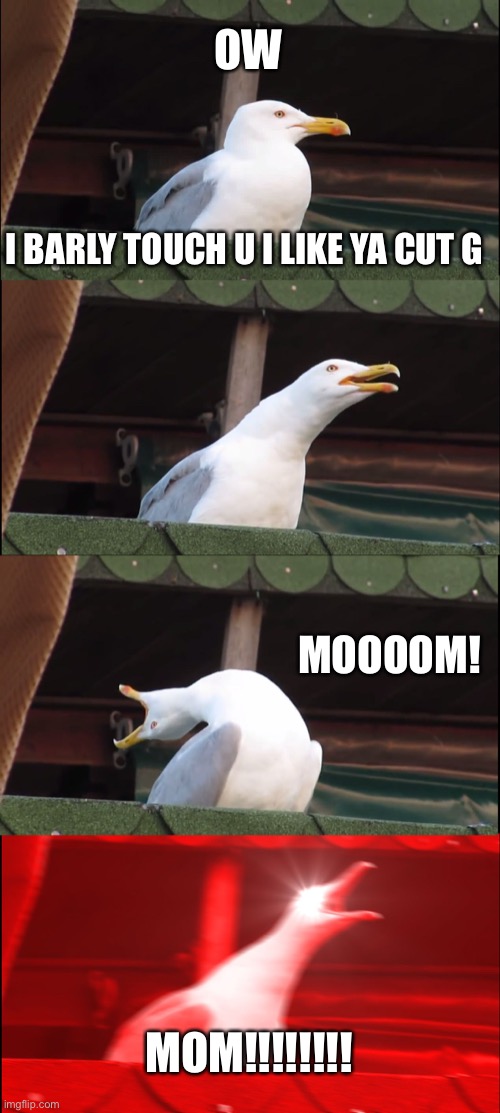 Inhaling Seagull | OW; I BARLY TOUCH U I LIKE YA CUT G; MOOOOM! MOM!!!!!!!! | image tagged in memes,inhaling seagull | made w/ Imgflip meme maker