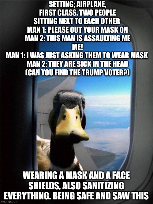Had to go on a plane, one of these people will vote Biden and the other trump. -_- | SETTING; AIRPLANE, FIRST CLASS, TWO PEOPLE SITTING NEXT TO EACH OTHER 
MAN 1: PLEASE OUT YOUR MASK ON
MAN 2: THIS MAN IS ASSAULTING ME
 ME! 
MAN 1: I WAS JUST ASKING THEM TO WEAR MASK 
MAN 2: THEY ARE SICK IN THE HEAD
(CAN YOU FIND THE TRUMP VOTER?); WEARING A MASK AND A FACE SHIELDS, ALSO SANITIZING EVERYTHING. BEING SAFE AND SAW THIS | image tagged in airplane duck | made w/ Imgflip meme maker