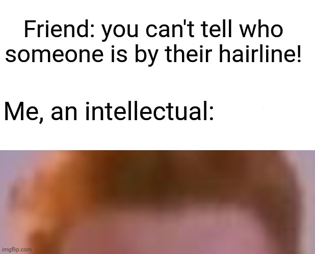 Marked Safe From Meme | Friend: you can't tell who someone is by their hairline! Me, an intellectual: | image tagged in memes,marked safe from | made w/ Imgflip meme maker