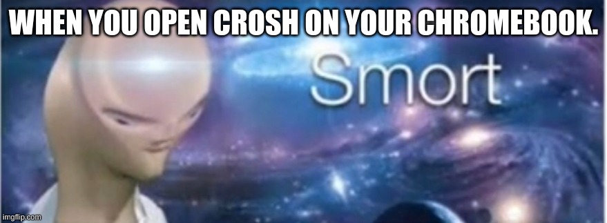 Meme man smort | WHEN YOU OPEN CROSH ON YOUR CHROMEBOOK. | image tagged in meme man smort | made w/ Imgflip meme maker