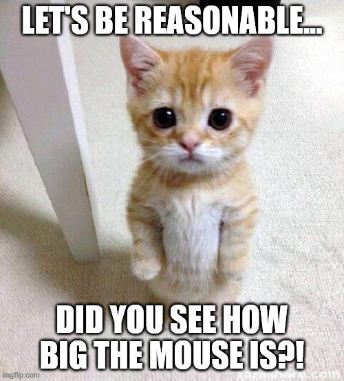 Manage your clients expectations... | LET'S BE REASONABLE... DID YOU SEE HOW BIG THE MOUSE IS?! | image tagged in memes,cute cat | made w/ Imgflip meme maker