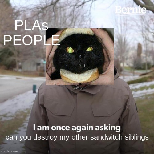 XD | PLAs PEOPLE; can you destroy my other sandwitch siblings | image tagged in memes,bernie i am once again asking for your support | made w/ Imgflip meme maker