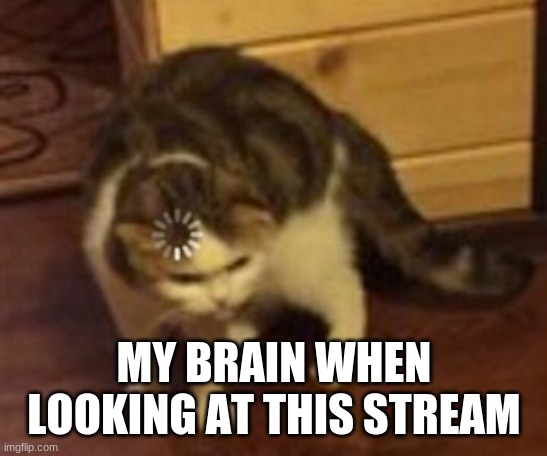 Loading cat | MY BRAIN WHEN LOOKING AT THIS STREAM | image tagged in loading cat | made w/ Imgflip meme maker