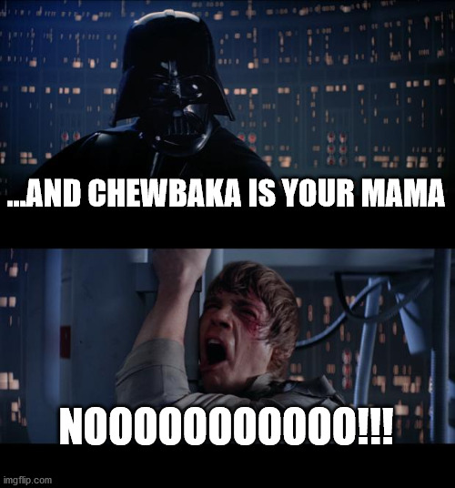 When the Dark-side adds insult to injury | ...AND CHEWBAKA IS YOUR MAMA; NOOOOOOOOOOO!!! | image tagged in memes,star wars no | made w/ Imgflip meme maker