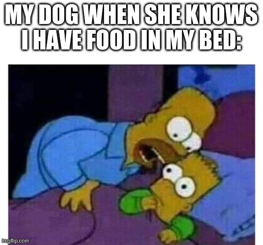 *applauds* | MY DOG WHEN SHE KNOWS I HAVE FOOD IN MY BED: | image tagged in simpsons | made w/ Imgflip meme maker