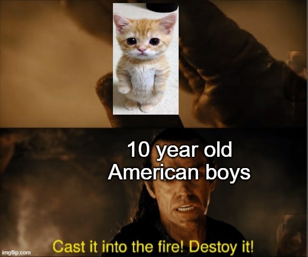 bruh | 10 year old American boys | image tagged in cast it into the fire,cast it in the fire,cat,cats,america,spoiled | made w/ Imgflip meme maker