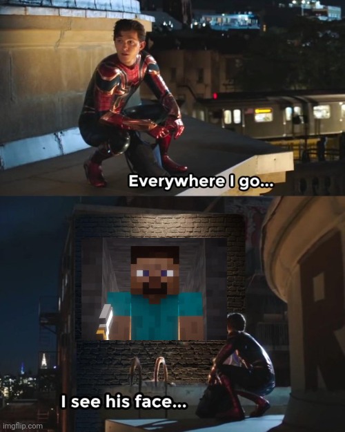 I'm so glad that Steve is in SSBU. | image tagged in everywhere i go i see his face | made w/ Imgflip meme maker