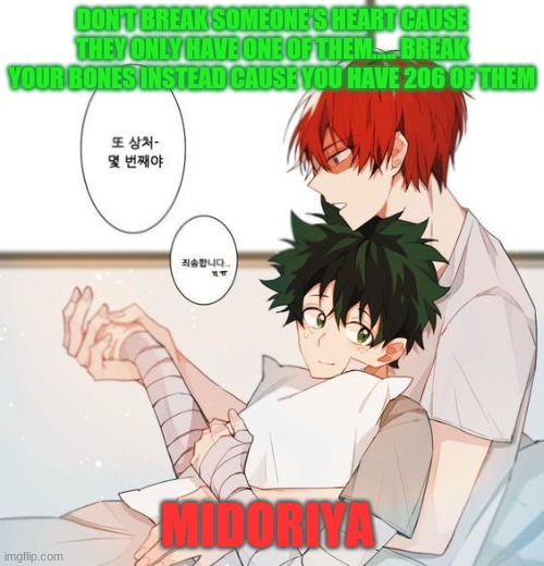 TodoDeku | DON'T BREAK SOMEONE'S HEART CAUSE THEY ONLY HAVE ONE OF THEM..... BREAK YOUR BONES INSTEAD CAUSE YOU HAVE 206 OF THEM; MIDORIYA | image tagged in adorable,funny,memes | made w/ Imgflip meme maker