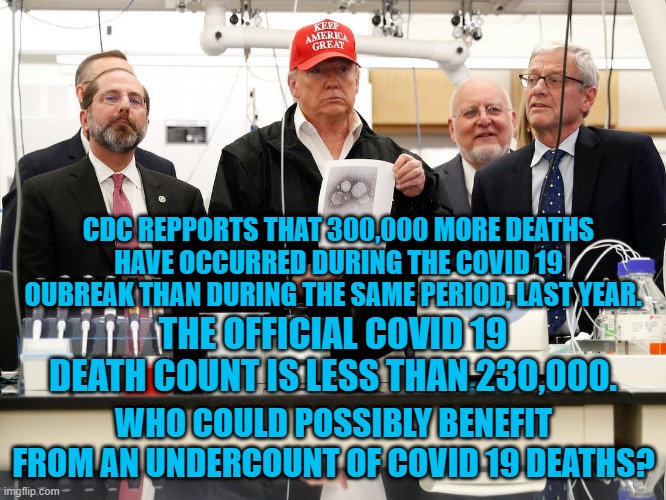 "One Little, Too Little, Three Little Covids." | CDC REPPORTS THAT 300,000 MORE DEATHS HAVE OCCURRED DURING THE COVID 19 OUBREAK THAN DURING THE SAME PERIOD, LAST YEAR. THE OFFICIAL COVID 19 DEATH COUNT IS LESS THAN 230,000. WHO COULD POSSIBLY BENEFIT FROM AN UNDERCOUNT OF COVID 19 DEATHS? | image tagged in politics | made w/ Imgflip meme maker