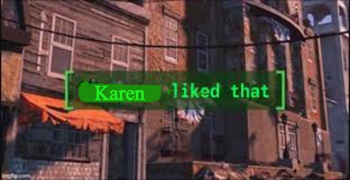 Everyone Liked That | Karen | image tagged in everyone liked that | made w/ Imgflip meme maker