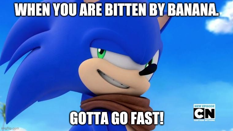 Roblox Banana Eats | WHEN YOU ARE BITTEN BY BANANA. GOTTA GO FAST! | image tagged in sonic meme,roblox | made w/ Imgflip meme maker