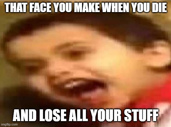Screaming Kid | THAT FACE YOU MAKE WHEN YOU DIE; AND LOSE ALL YOUR STUFF | image tagged in screaming kid | made w/ Imgflip meme maker