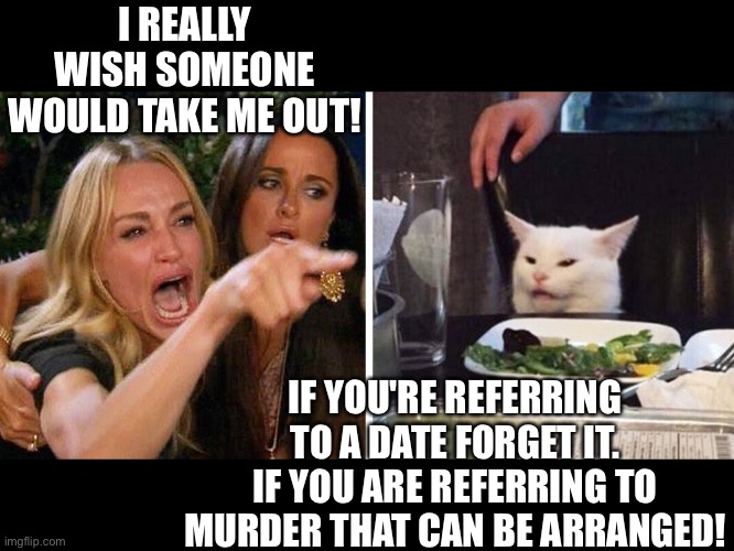 Woman yelling | I REALLY WISH SOMEONE WOULD TAKE ME OUT! IF YOU'RE REFERRING TO A DATE FORGET IT. IF YOU ARE REFERRING TO MURDER THAT CAN BE ARRANGED! | image tagged in smudge the cat | made w/ Imgflip meme maker