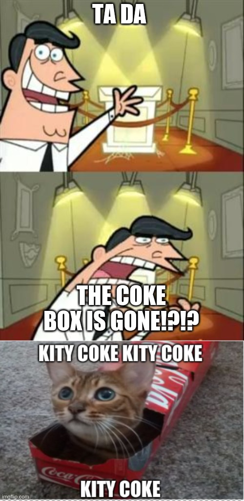 TA DA; THE COKE BOX IS GONE!?!? | image tagged in memes,cute cat | made w/ Imgflip meme maker