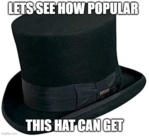 lets see | LETS SEE HOW POPULAR; THIS HAT CAN GET | image tagged in lets see,how popular,this hat,can get | made w/ Imgflip meme maker