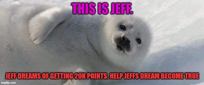 help jeff | THIS IS JEFF. JEFF DREAMS OF GETTING 20K POINTS. HELP JEFFS DREAM BECOME TRUE | image tagged in seal,help jeff | made w/ Imgflip meme maker