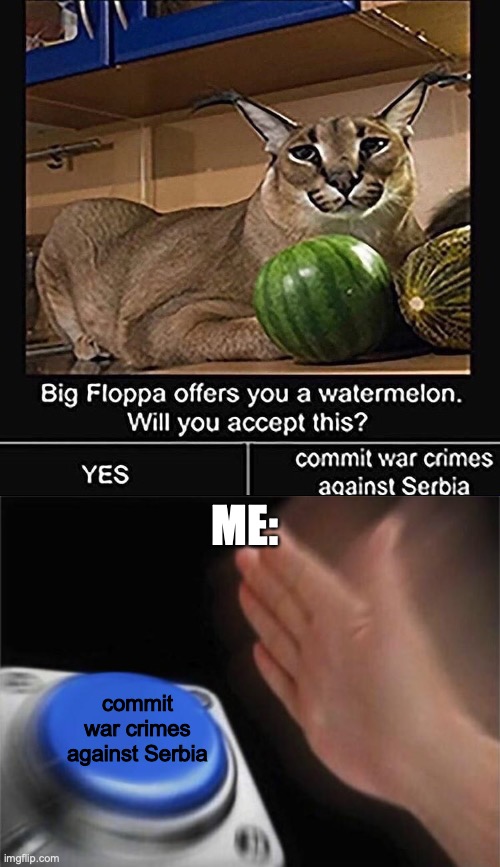 I Don't Trust Big Floppa... | ME:; commit war crimes against Serbia | image tagged in memes,blank nut button | made w/ Imgflip meme maker