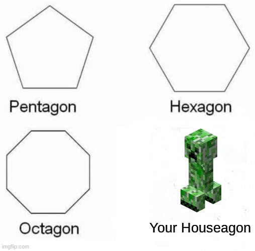 Your Houseagon | Your Houseagon | image tagged in memes,pentagon hexagon octagon | made w/ Imgflip meme maker
