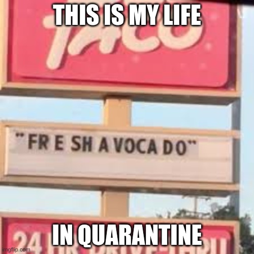 My life | THIS IS MY LIFE; IN QUARANTINE | image tagged in vines | made w/ Imgflip meme maker