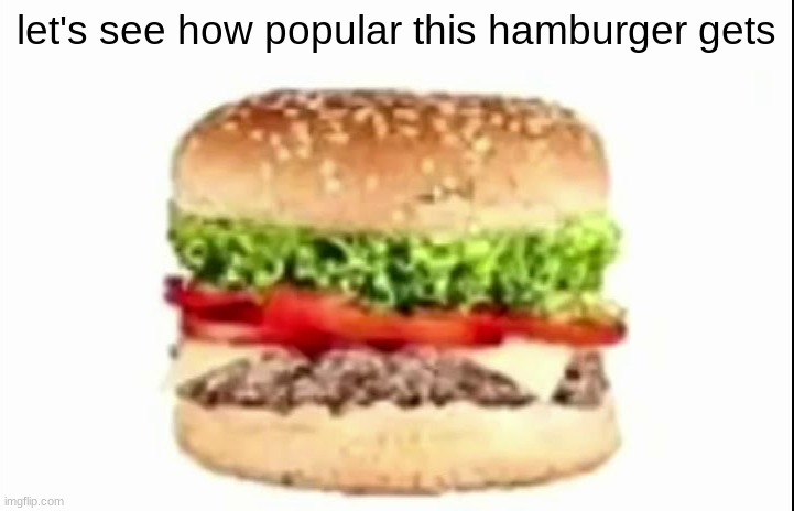 when you eat jUIcY hAMBUrGeR | let's see how popular this hamburger gets | image tagged in hamburger | made w/ Imgflip meme maker
