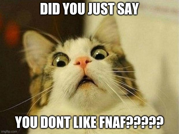 fnaf | DID YOU JUST SAY; YOU DONT LIKE FNAF????? | image tagged in memes,scared cat | made w/ Imgflip meme maker