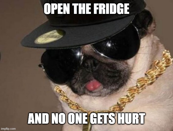 Gangster Pug | OPEN THE FRIDGE; AND NO ONE GETS HURT | image tagged in gangster pug | made w/ Imgflip meme maker