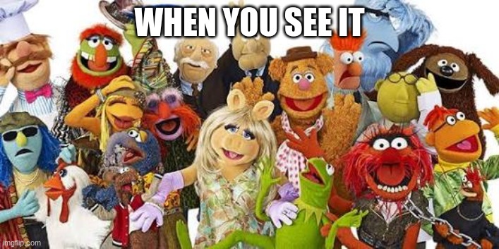 Muppets | WHEN YOU SEE IT | image tagged in muppets | made w/ Imgflip meme maker