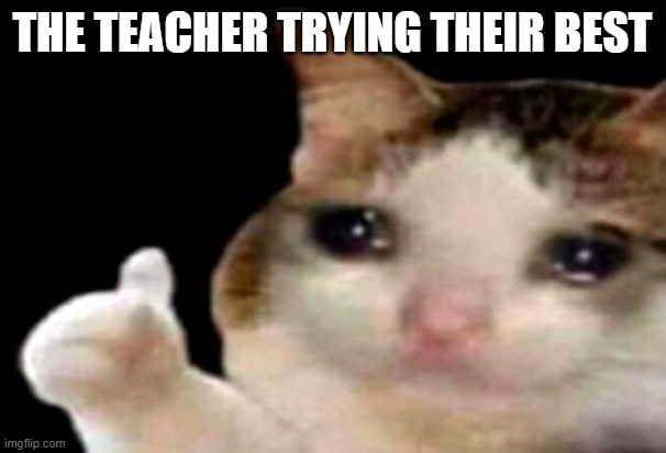 Sad cat thumbs up | THE TEACHER TRYING THEIR BEST | image tagged in sad cat thumbs up | made w/ Imgflip meme maker