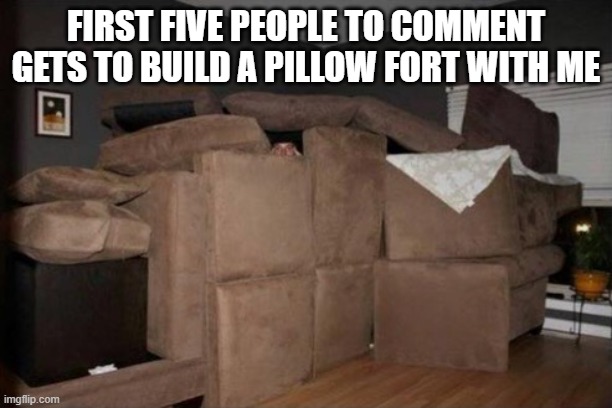 Pillow fort | FIRST FIVE PEOPLE TO COMMENT GETS TO BUILD A PILLOW FORT WITH ME | image tagged in pillow fort | made w/ Imgflip meme maker