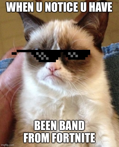 Grumpy Cat Meme | WHEN U NOTICE U HAVE; BEEN BAND FROM FORTNITE | image tagged in memes,grumpy cat | made w/ Imgflip meme maker