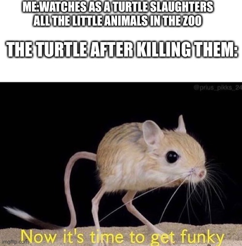 Now it’s time to get funky | ME:WATCHES AS A TURTLE SLAUGHTERS ALL THE LITTLE ANIMALS IN THE ZOO THE TURTLE AFTER KILLING THEM: | image tagged in now it s time to get funky | made w/ Imgflip meme maker