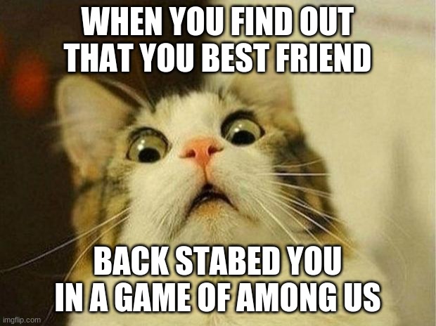 Scared Cat Meme | WHEN YOU FIND OUT THAT YOU BEST FRIEND; BACK STABED YOU IN A GAME OF AMONG US | image tagged in memes,scared cat | made w/ Imgflip meme maker