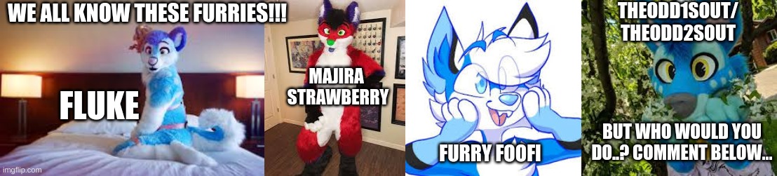 Who would you do out of these four??? Comment below!!! |  THEODD1SOUT/
THEODD2SOUT; WE ALL KNOW THESE FURRIES!!! MAJIRA 
STRAWBERRY; FLUKE; BUT WHO WOULD YOU DO..? COMMENT BELOW... FURRY FOOFI | image tagged in furry | made w/ Imgflip meme maker