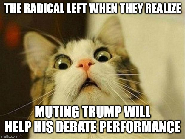 Scared Cat Meme | THE RADICAL LEFT WHEN THEY REALIZE MUTING TRUMP WILL HELP HIS DEBATE PERFORMANCE | image tagged in memes,scared cat | made w/ Imgflip meme maker