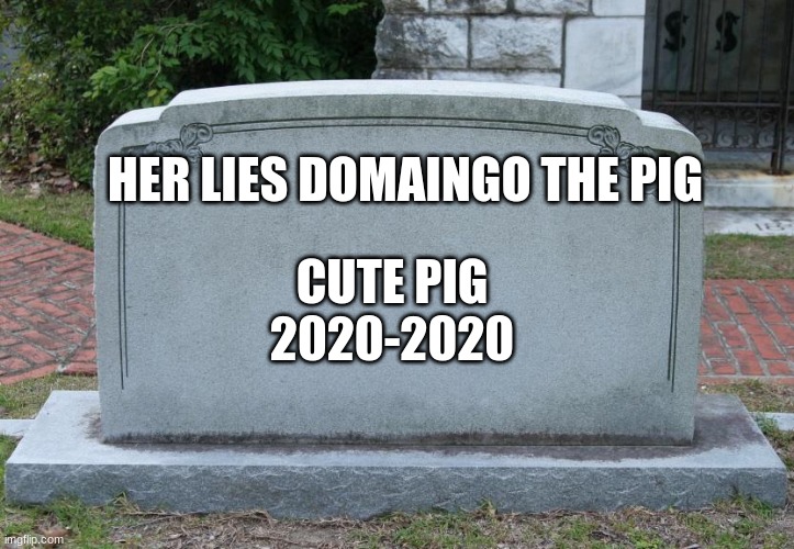 funneh | HER LIES DOMAINGO THE PIG; CUTE PIG
2020-2020 | image tagged in gravestone | made w/ Imgflip meme maker