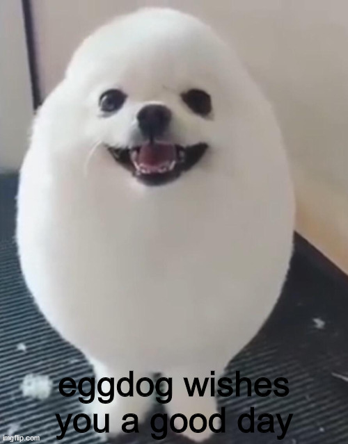 wholesome | eggdog wishes you a good day | image tagged in eggdog,cute,wholesome,nice | made w/ Imgflip meme maker