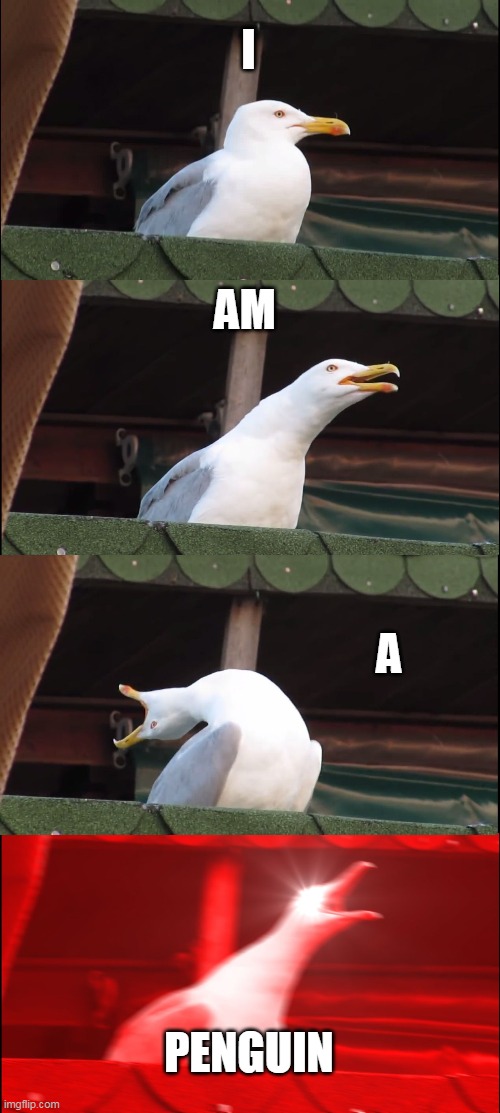 Inhaling Seagull Meme | I; AM; A; PENGUIN | image tagged in memes,inhaling seagull | made w/ Imgflip meme maker