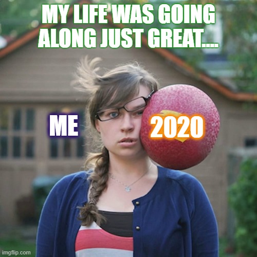 Life was going along, just great... then... 2020 blindsided me | MY LIFE WAS GOING ALONG JUST GREAT.... 2020; ME | image tagged in 2020 sucks,dodgeball,life sucks | made w/ Imgflip meme maker