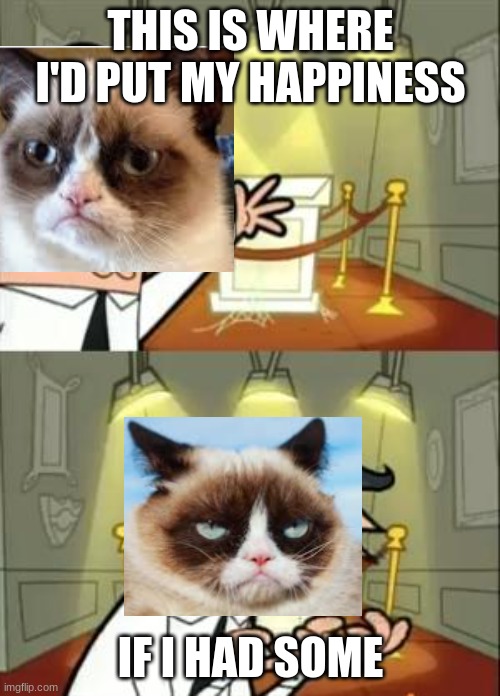 Grumpy Cat | THIS IS WHERE I'D PUT MY HAPPINESS; IF I HAD SOME | image tagged in memes,this is where i'd put my trophy if i had one | made w/ Imgflip meme maker