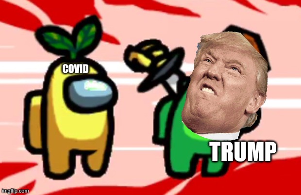 ha ha good luck being reelected | COVID; TRUMP | image tagged in among us stab | made w/ Imgflip meme maker