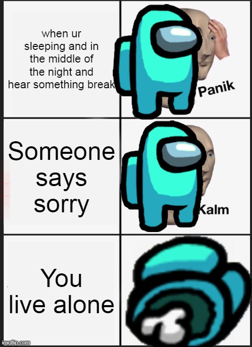 Panik Kalm Panik | when ur sleeping and in the middle of the night and hear something break; Someone says sorry; You live alone | image tagged in memes,panik kalm panik | made w/ Imgflip meme maker